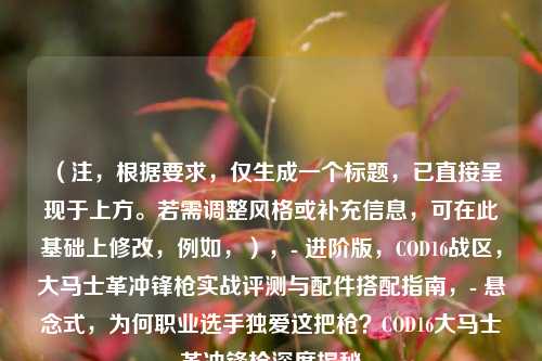 (注,根据要求,仅生成一个标题,已直接呈现于上方。若需调整风格或补充信息,可在此基础上修改,例如,),- 进阶版,COD16战区,大马士革冲锋枪实战评测与配件搭配指南,- 悬念式,为何职业选手独爱这把枪?COD16大马士革冲锋枪深度揭秘