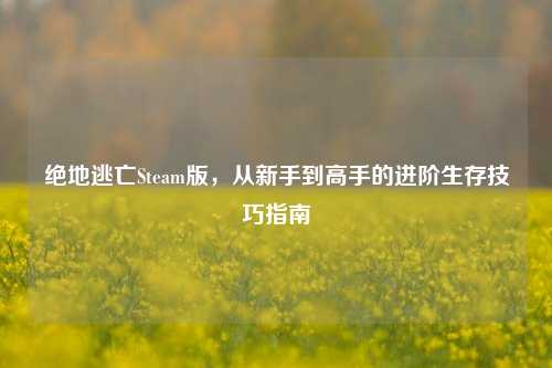 绝地逃亡Steam版,从新手到高手的进阶生存技巧指南
