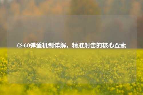 CS:GO弹道机制详解,精准射击的核心要素