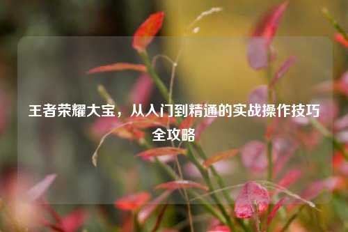 王者荣耀大宝,从入门到精通的实战操作技巧全攻略