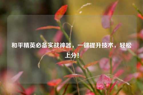和平精英必备实战神器,一键提升技术,轻松上分!