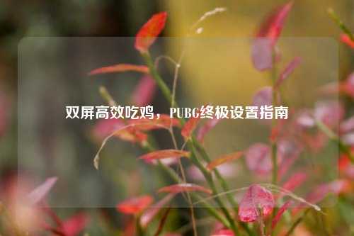 双屏高效吃鸡,PUBG终极设置指南