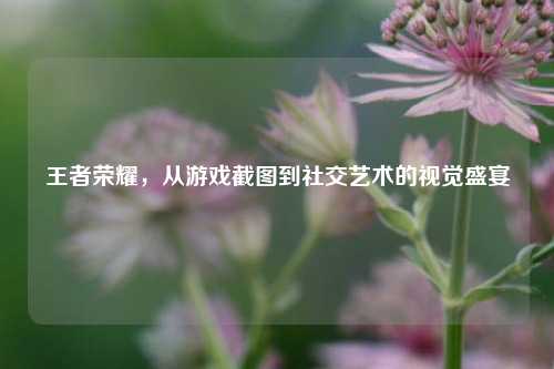 王者荣耀,从游戏截图到社交艺术的视觉盛宴
