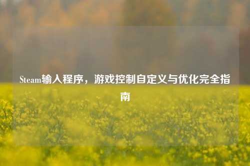 Steam输入程序,游戏控制自定义与优化完全指南
