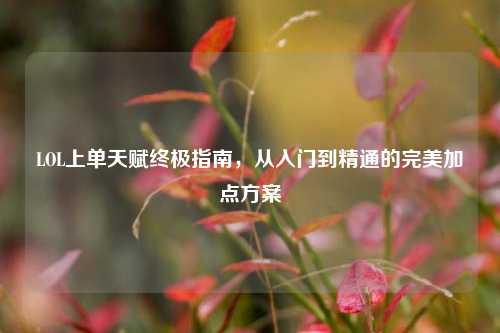 LOL上单天赋终极指南,从入门到精通的完美加点方案
