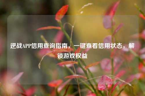 逆战APP信用查询指南,一键查看信用状态,解锁游戏权益