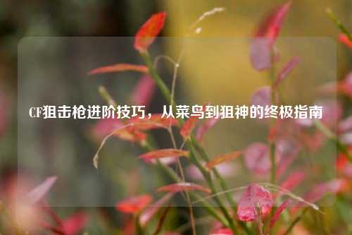 CF狙击枪进阶技巧,从菜鸟到狙神的终极指南
