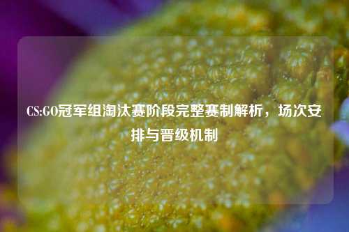 CS:GO冠军组淘汰赛阶段完整赛制解析,场次安排与晋级机制