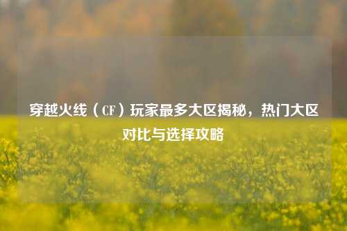 穿越火线(CF)玩家最多大区揭秘,热门大区对比与选择攻略