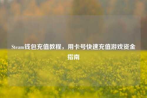Steam钱包充值教程,用卡号快速充值游戏资金指南