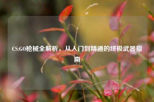 CS:GO枪械全解析,从入门到精通的终极武器指南