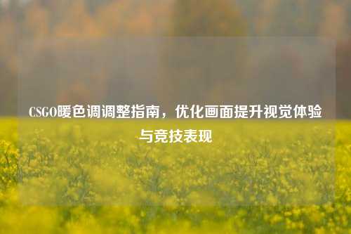 CSGO暖色调调整指南,优化画面提升视觉体验与竞技表现