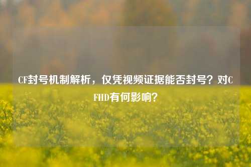 CF封号机制解析,仅凭视频证据能否封号?对CFHD有何影响?