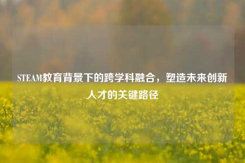 STEAM教育背景下的跨学科融合,塑造未来创新人才的关键路径