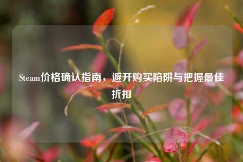 Steam价格确认指南,避开购买陷阱与把握最佳折扣