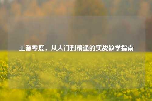 王者零度,从入门到精通的实战教学指南
