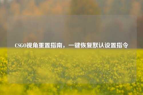 CSGO视角重置指南,一键恢复默认设置指令