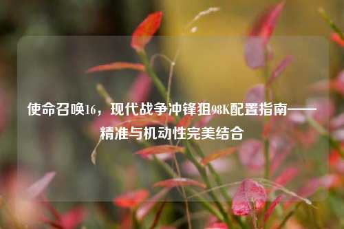 使命召唤16,现代战争冲锋狙98K配置指南——精准与机动性完美结合