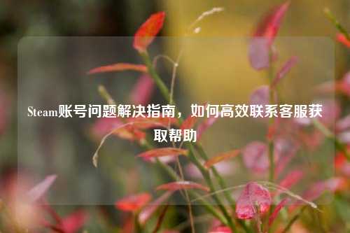 Steam账号问题解决指南,如何高效联系客服获取帮助