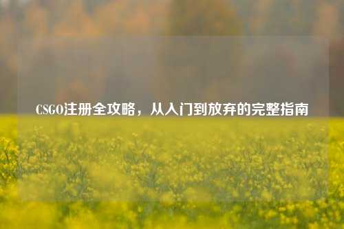 CSGO注册全攻略,从入门到放弃的完整指南