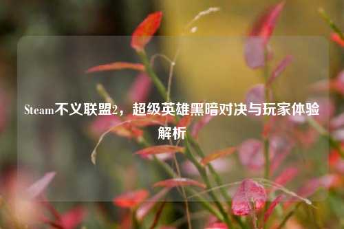 Steam不义联盟2,超级英雄黑暗对决与玩家体验解析