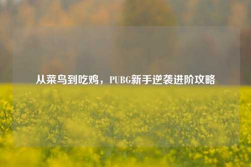 从菜鸟到吃鸡,PUBG新手逆袭进阶攻略