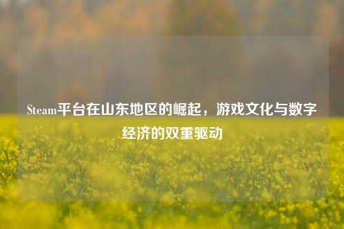 Steam平台在山东地区的崛起,游戏文化与数字经济的双重驱动