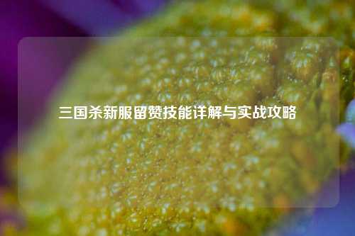 三国杀新服留赞技能详解与实战攻略