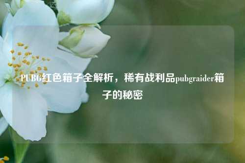 PUBG红色箱子全解析,稀有战利品pubgraider箱子的秘密
