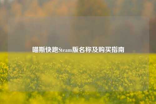 喵斯快跑Steam版名称及购买指南