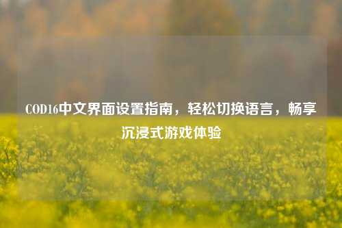 COD16中文界面设置指南,轻松切换语言,畅享沉浸式游戏体验