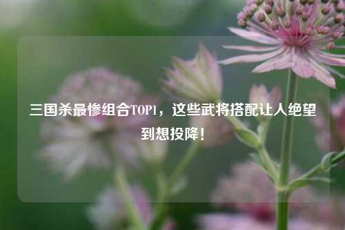 三国杀最惨组合TOP1,这些武将搭配让人绝望到想投降!