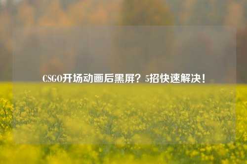 CSGO开场动画后黑屏?5招快速解决!