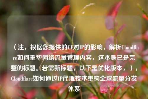 (注,根据您提供的CF对IP的影响,解析Cloudflare如何重塑网络流量管理内容,这本身已是完整的标题。若需新标题,以下是优化版本,),Cloudflare如何通过IP代理技术重构全球流量分发体系