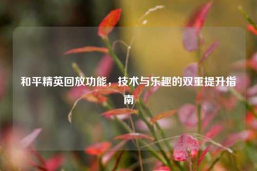 和平精英回放功能,技术与乐趣的双重提升指南