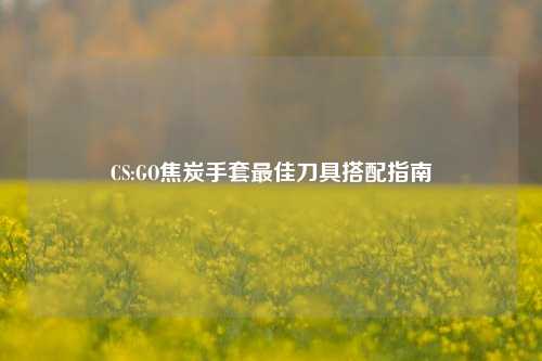 CS:GO焦炭手套最佳刀具搭配指南