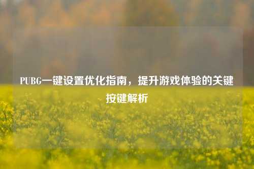 PUBG一键设置优化指南,提升游戏体验的关键按键解析