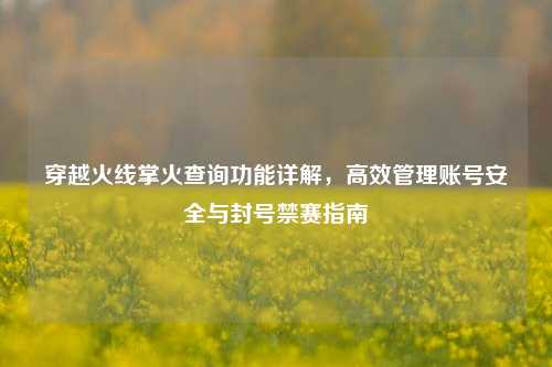 穿越火线掌火查询功能详解,高效管理账号安全与封号禁赛指南