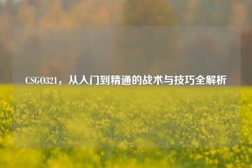 CSGO321,从入门到精通的战术与技巧全解析