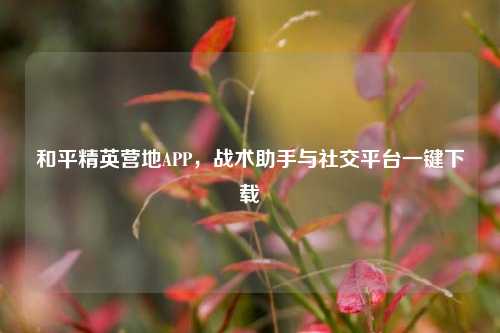 和平精英营地APP,战术助手与社交平台一键下载