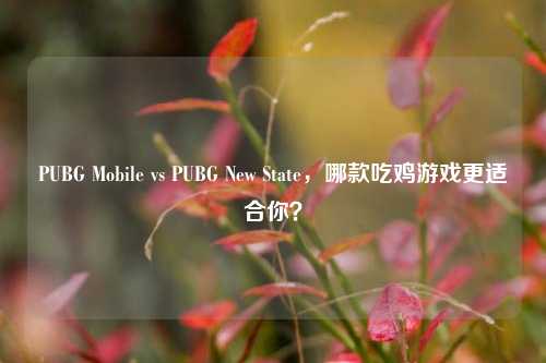 PUBG Mobile vs PUBG New State,哪款吃鸡游戏更适合你?