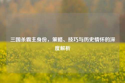 三国杀霸主身份,策略、技巧与历史情怀的深度解析