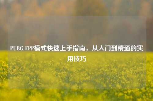 PUBG FPP模式快速上手指南,从入门到精通的实用技巧