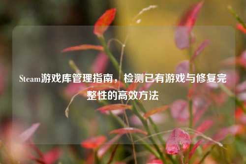 Steam游戏库管理指南,检测已有游戏与修复完整性的高效方法