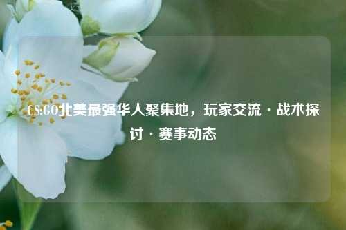 CS:GO北美最强华人聚集地,玩家交流·战术探讨·赛事动态