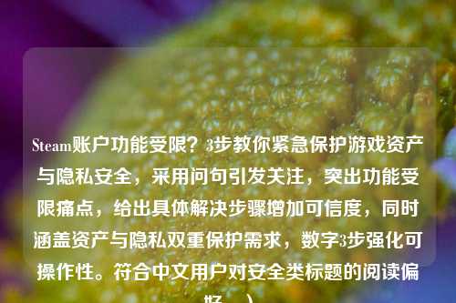Steam账户功能受限?3步教你紧急保护游戏资产与隐私安全,采用问句引发关注,突出功能受限痛点,给出具体解决步骤增加可信度,同时涵盖资产与隐私双重保护需求,数字3步强化可操作性。符合中文用户对安全类标题的阅读偏好。)