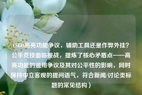 CSGO高亮功能争议,辅助工具还是作弊外挂?公平竞技面临挑战,提炼了核心矛盾点——高亮功能的滥用争议及其对公平性的影响,同时保持中立客观的提问语气,符合新闻/讨论类标题的常见结构)