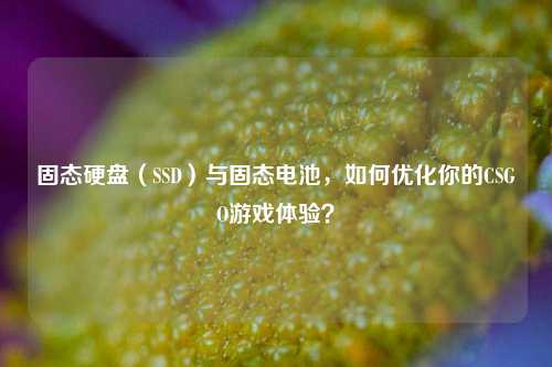 固态硬盘(SSD)与固态电池,如何优化你的CSGO游戏体验?