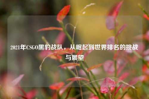 2021年CSGO黑豹战队,从崛起到世界排名的挑战与展望
