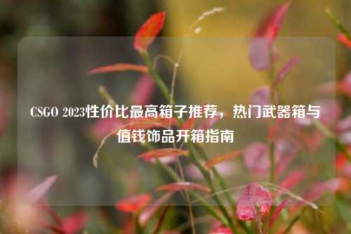 CSGO 2023性价比最高箱子推荐,热门武器箱与值钱饰品开箱指南